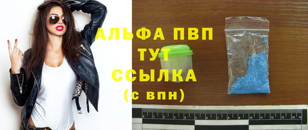 эйфоретик Ладушкин