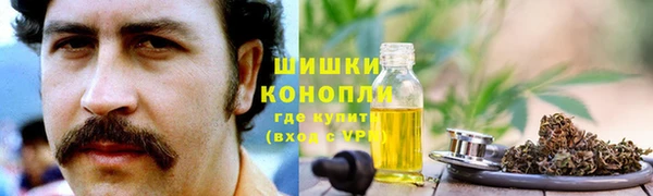 винт Лагань