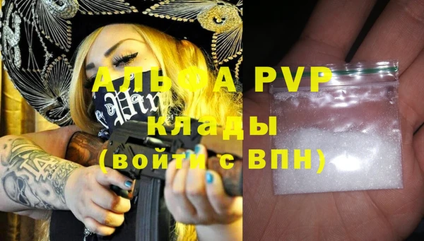 винт Лагань