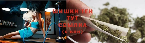 шишки Краснослободск