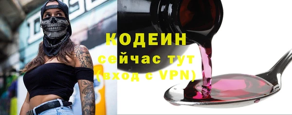винт Лагань