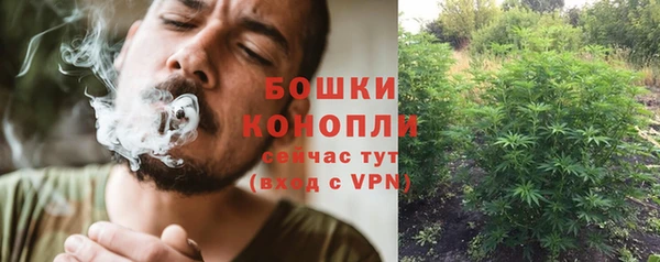 эйфоретик Ладушкин