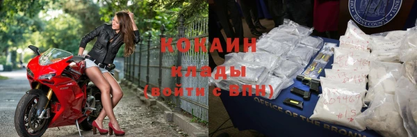 винт Лагань