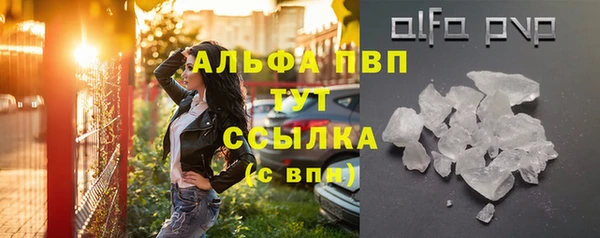 винт Лагань