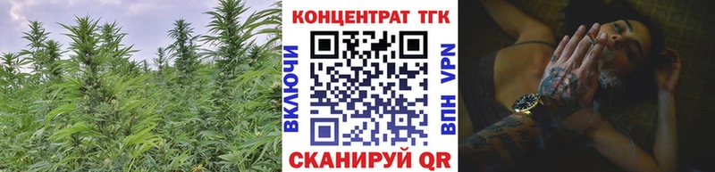 ТГК Wax  Лангепас 